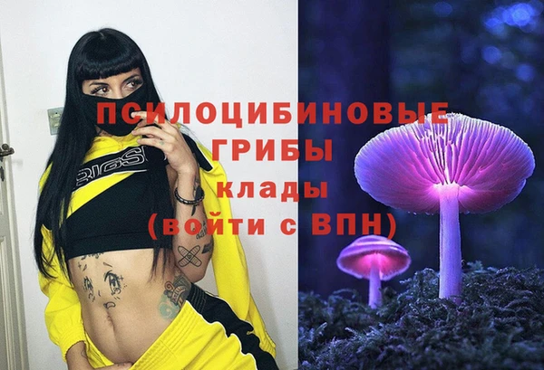 спиды Алексин