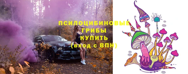 спиды Алексин
